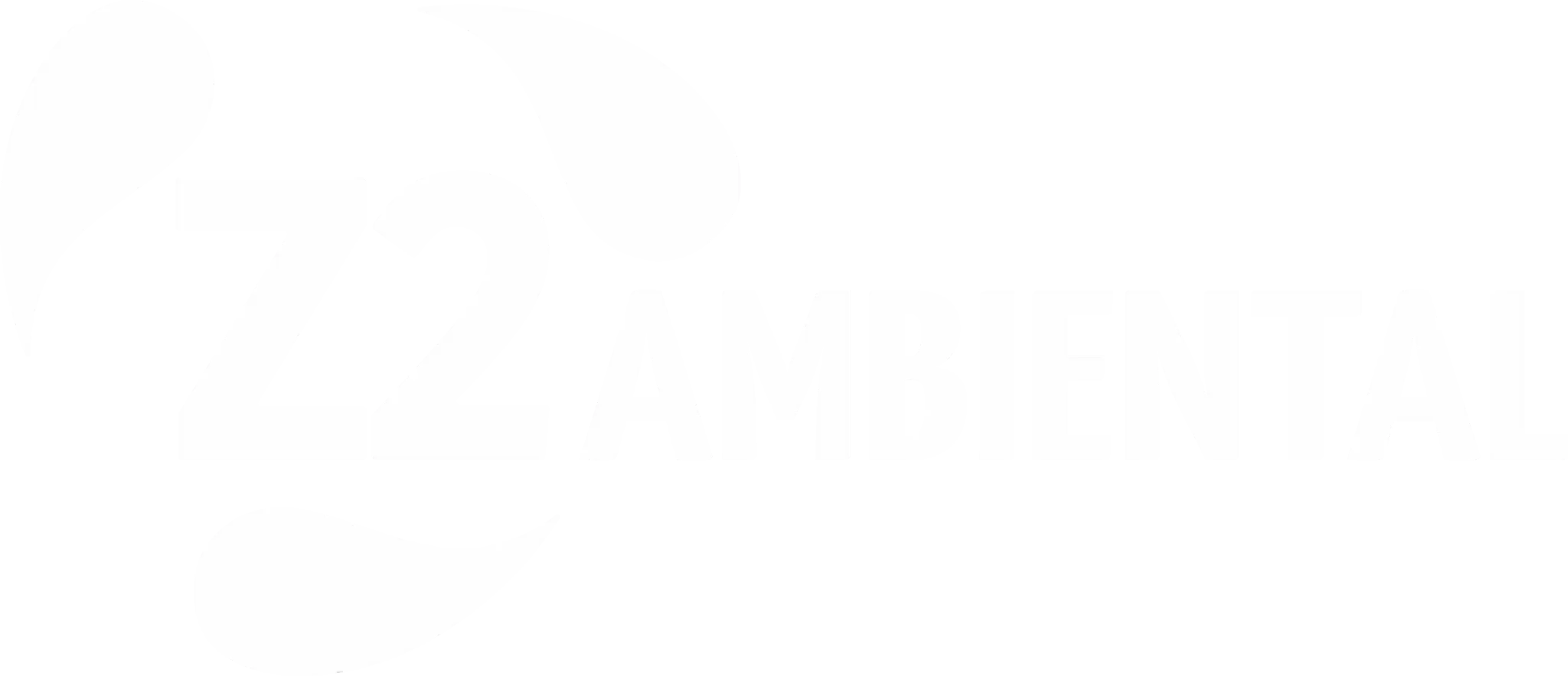 Z2 Ambiental